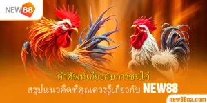 คำศัพท์เกี่ยวกับการชนไก่ สรุปแนวคิดที่คุณควรรู้เกี่ยวกับ-new88
