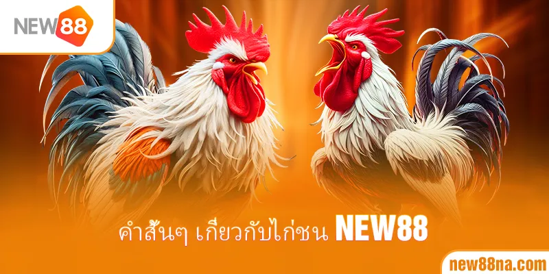 คำสั้นๆ เกี่ยวกับไก่ชน New88