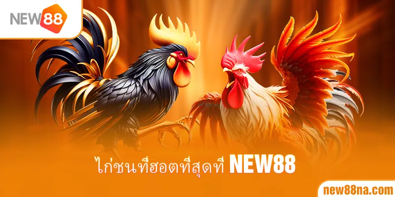 ไก่ชนที่ฮอตที่สุดที่ New88